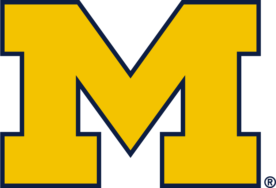 Michigan Wolverines 2016-Pres Alternate Logo diy DTF decal sticker